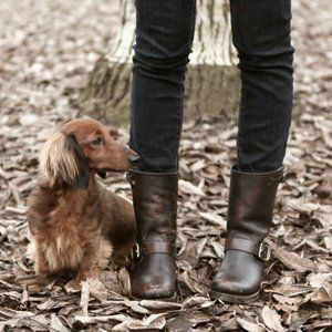 FRYE BROWN LEATHER VERONICA BOOTIE, SIZE 8.5
